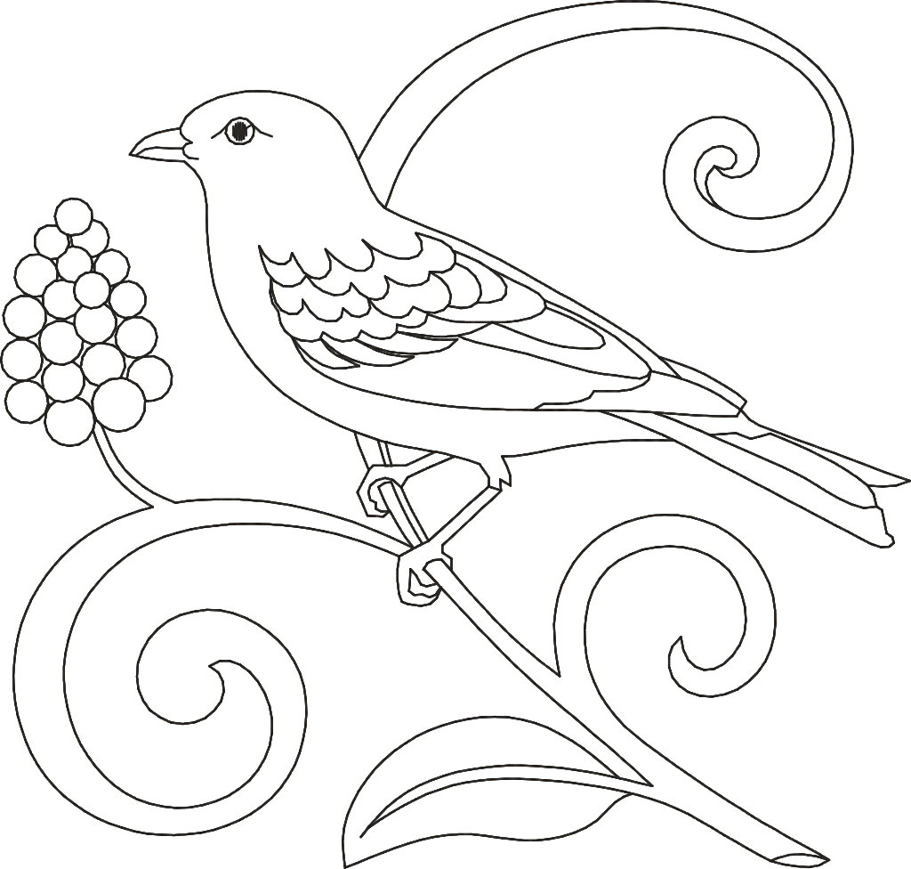 Outline bird