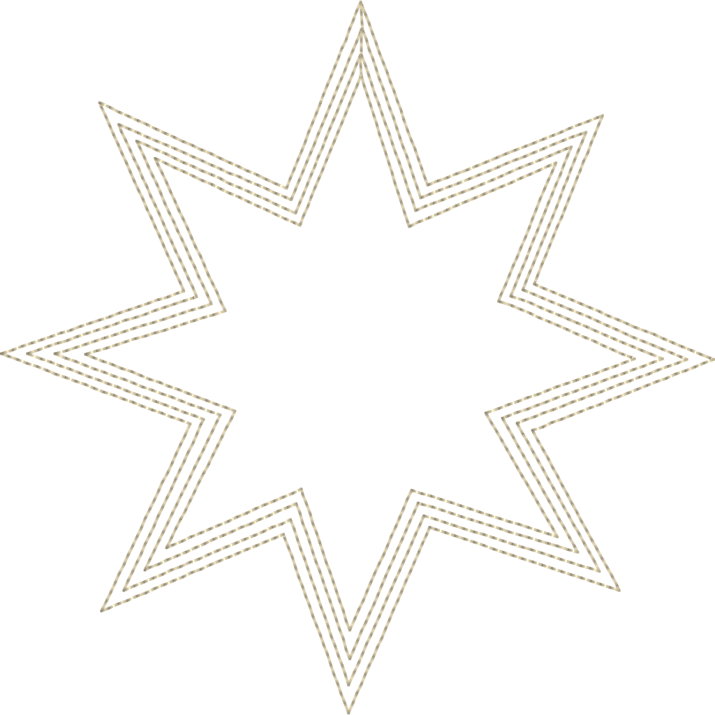 Specialty Bobbin Case Star specialty-bobbin-case-star