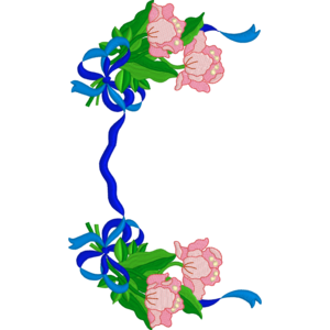 Ribbon and Pink Roses