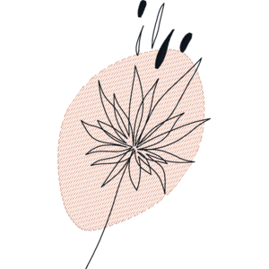 Sheer Background Line Art - Flowers